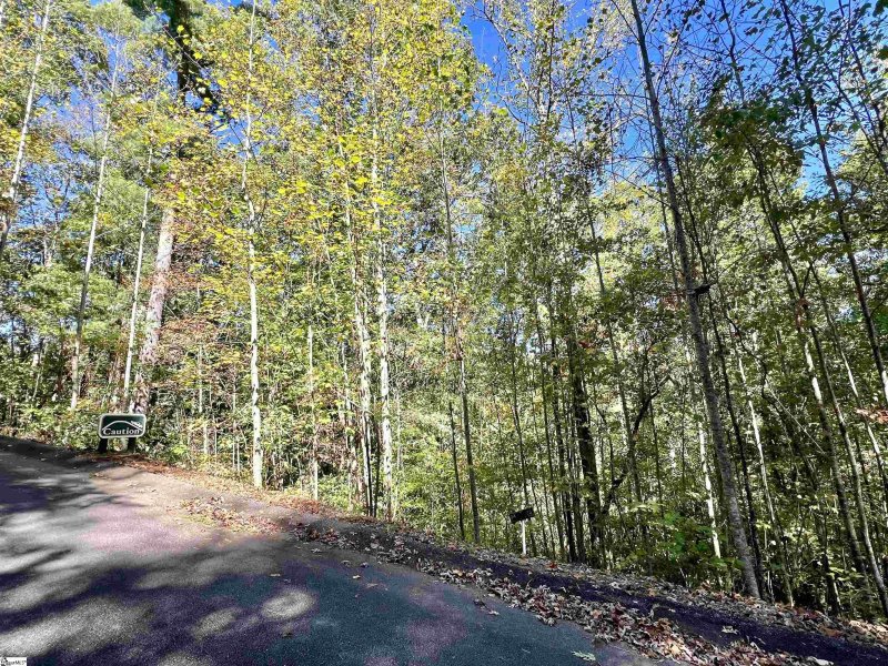 Property image 4 at 120 Falcon Crest Way, Pickens, SC 29671