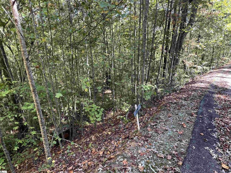 Property image 4 of 124 Falcon Crest Way in The Rock at Jocassee, Pickens, SC 29671