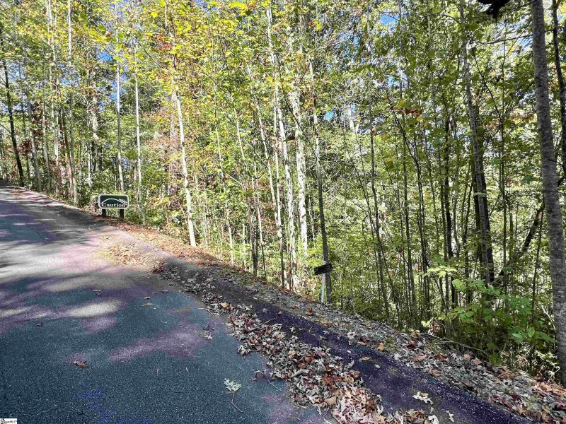 Property image 5 of 124 Falcon Crest Way in The Rock at Jocassee, Pickens, SC 29671