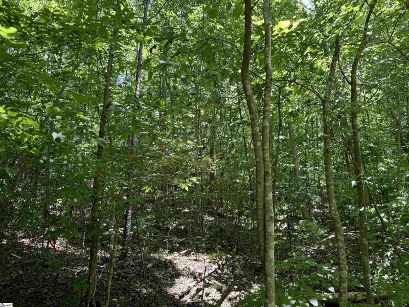 Property image 2 at 00 Glendlyon Drive, Landrum, SC 29356