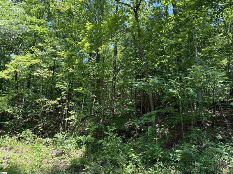 Property image 5 at 00 Glendlyon Drive, Landrum, SC 29356