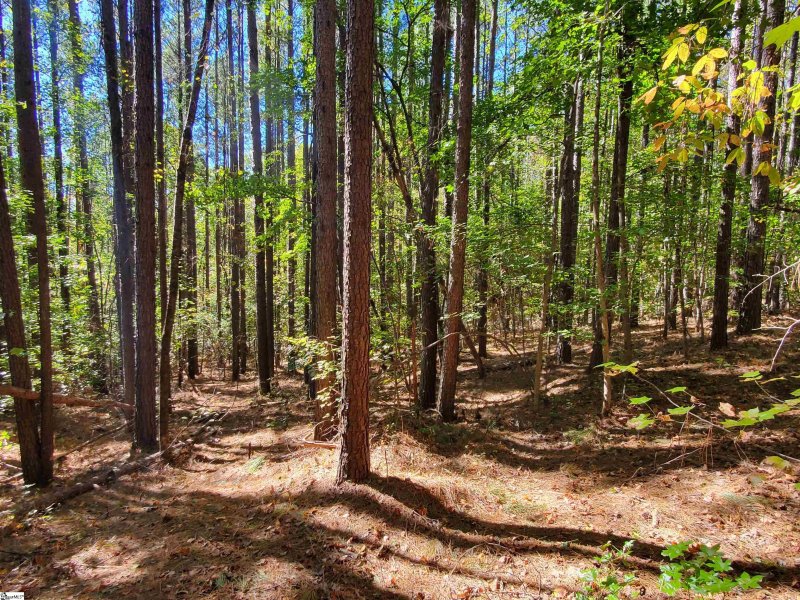 Property image 3 at 16 Belk Road, Travelers Rest, SC 29690