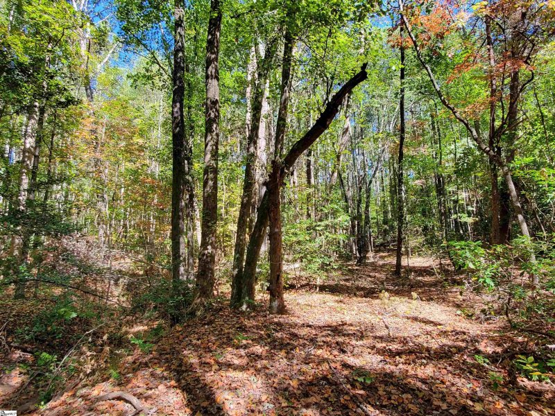 Property image 4 at 16 Belk Road, Travelers Rest, SC 29690