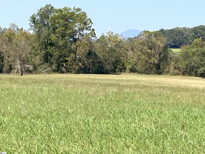 Property image 5 of 000 N Pacolet Road in Caroland Farms, Landrum, SC 29356