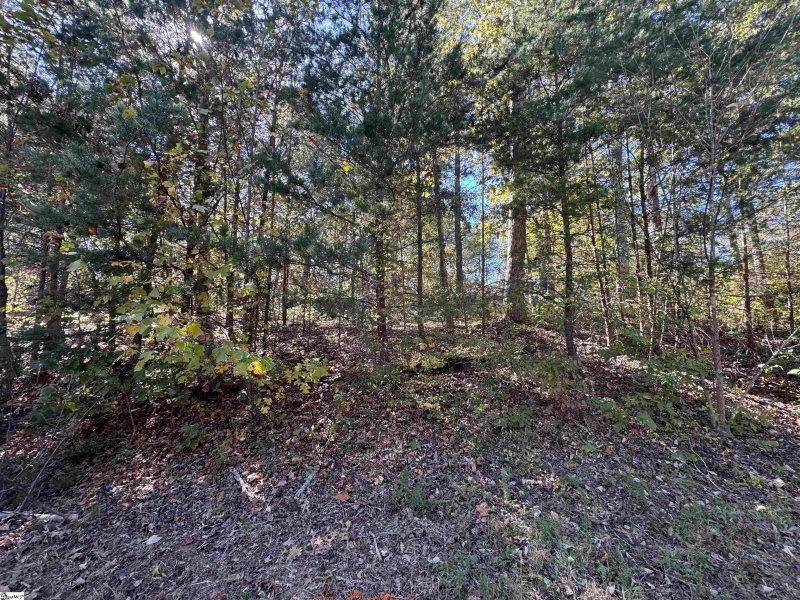 318 Bouldercrest Court