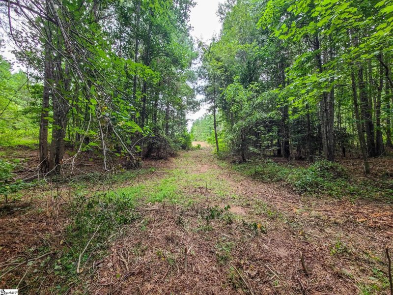 Property image 4 at 0 Dunklin Bridge Road, Fountain Inn, SC 29644