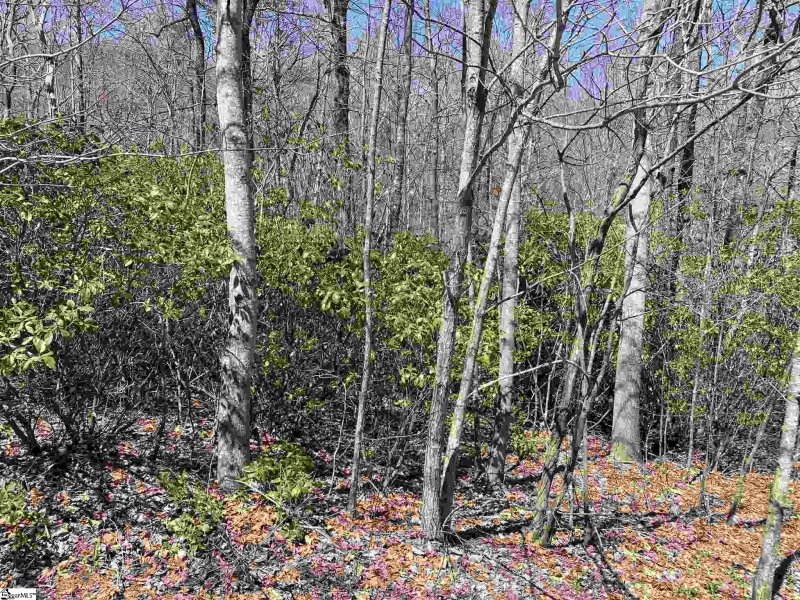 Property image 2 of 12 Blazing Star Trail in The Cliffs at Glassy, Landrum, SC 29356