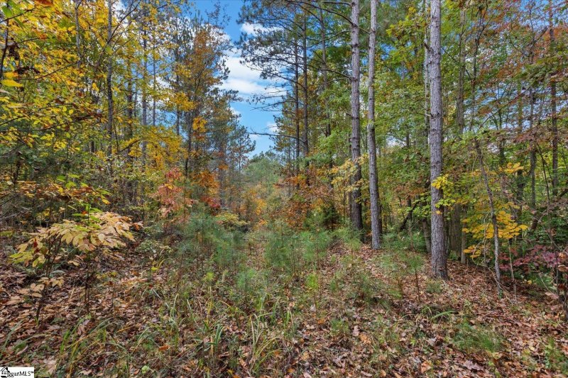 Property image 2 at 879 Dunklin Bridge Road, Fountain Inn, SC 29644