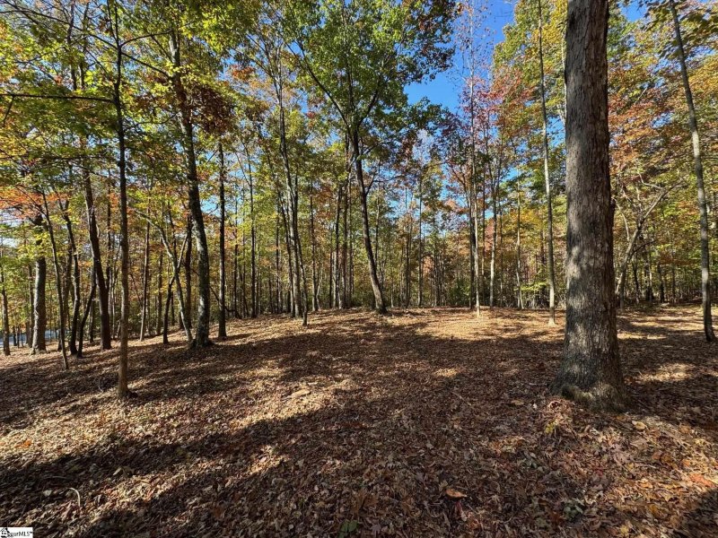 Property image 3 at 45 Darting Sparrow Way, Marietta, SC 29661