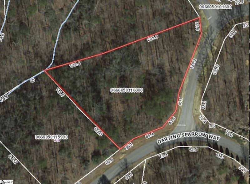 Property image 4 at 45 Darting Sparrow Way, Marietta, SC 29661