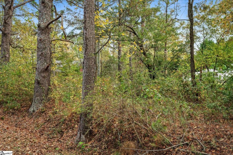 Property image 4 at 00 Warriors Path, Anderson, SC 29621