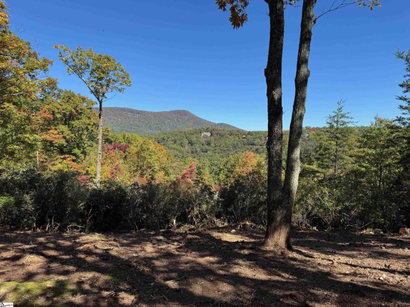 Property image 2 of 112 Ridge Pass Way in The Cliffs at Glassy, Landrum, SC 29356