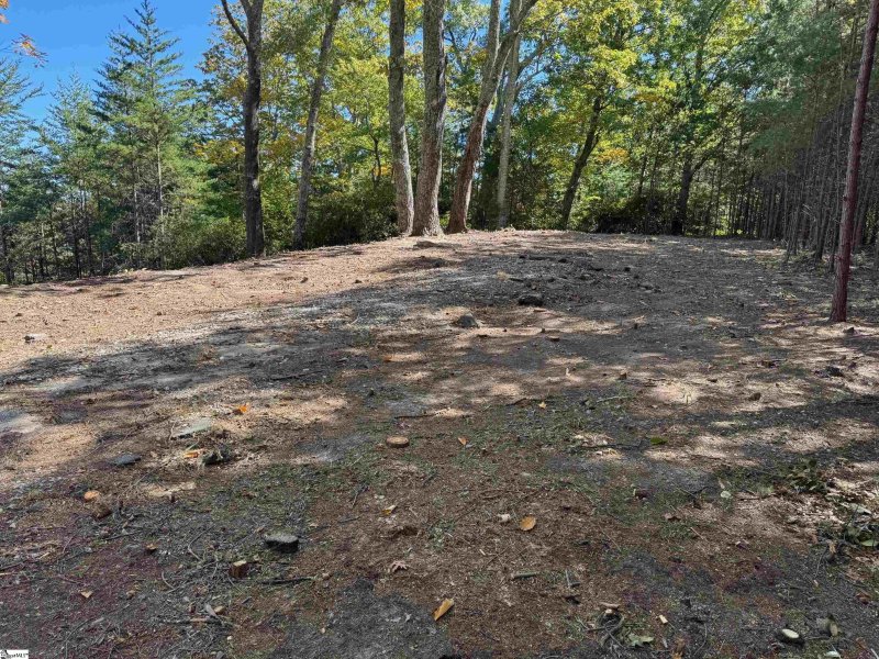 Property image 3 of 112 Ridge Pass Way in The Cliffs at Glassy, Landrum, SC 29356