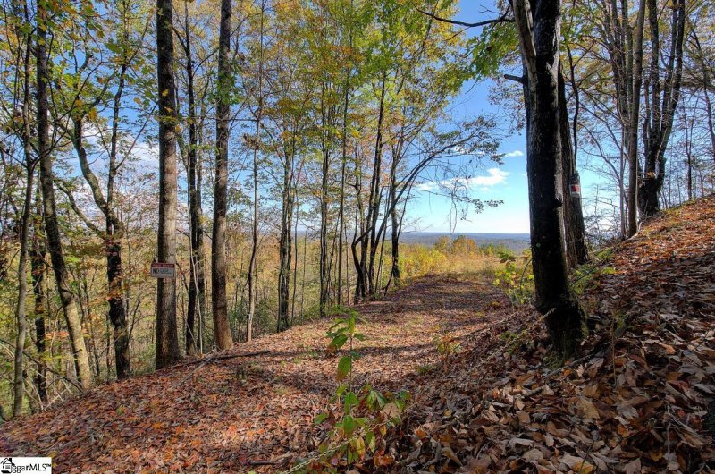 Property image 5 at 236 River Bluff Road, Cleveland, SC 29635