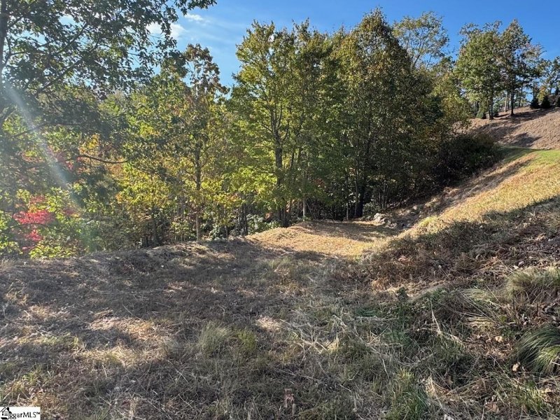 393 Blue Bonnet Trail