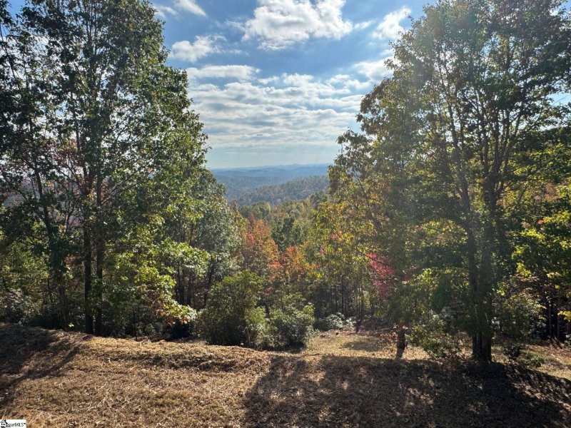 Property image 2 at 393 Blue Bonnet Trail, Marietta, SC 29661