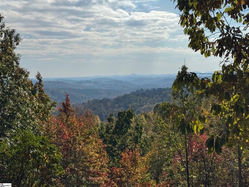 Property image 3 at 393 Blue Bonnet Trail, Marietta, SC 29661