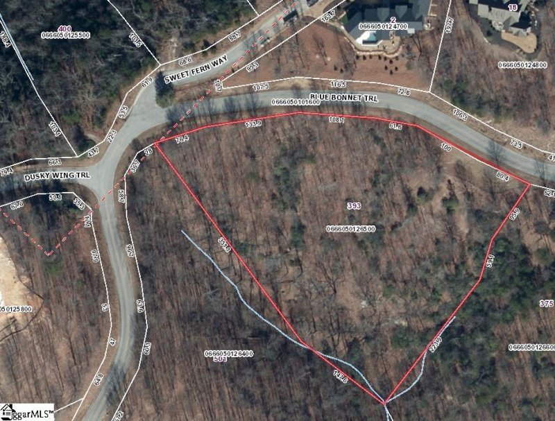 Property image 4 at 393 Blue Bonnet Trail, Marietta, SC 29661