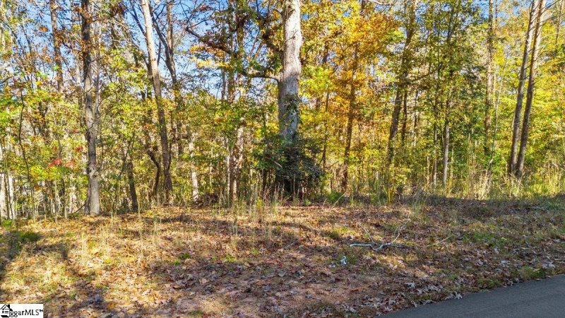 Property image 3 of 135 Choestoea Road in Foxwood Hills, Westminster, SC 29693