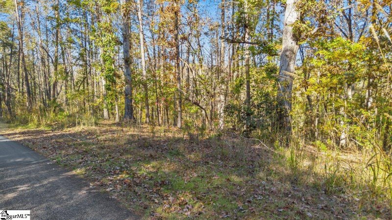 Property image 4 of 135 Choestoea Road in Foxwood Hills, Westminster, SC 29693