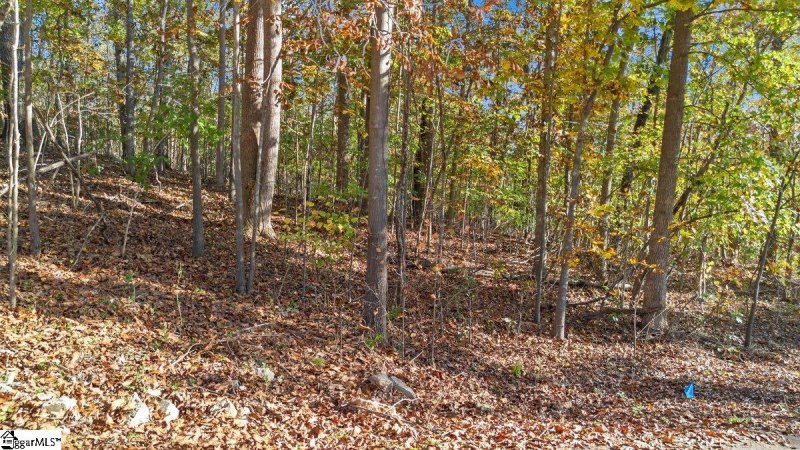 Property image 3 at 260 Cherokee Drive, Fair Play, SC 29643