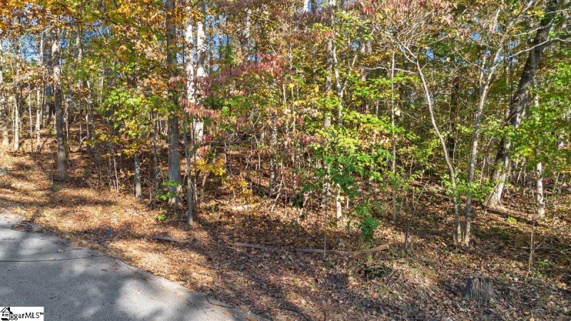 Property image 4 at 260 Cherokee Drive, Fair Play, SC 29643