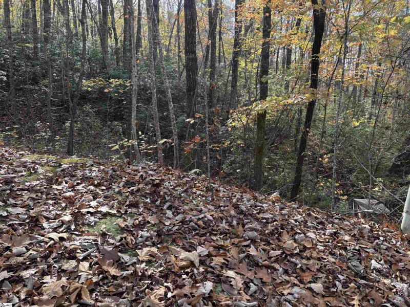 Property image 2 of 43 Alsace Way in Crescent Mountain Vineyard, Travelers Rest, SC 29690