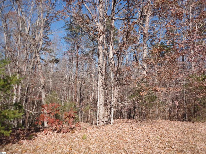 Property image 4 at 148 Timberstone Trail, Six Mile, SC 29682