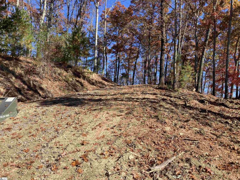 220 Wood Violet Trail