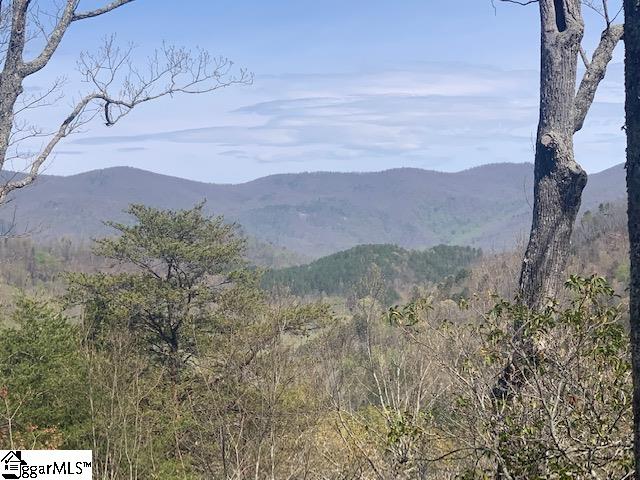 Property image 2 at 220 Wood Violet Trail, Marietta, SC 29661