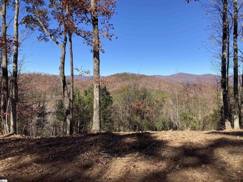 Property image 3 at 220 Wood Violet Trail, Marietta, SC 29661