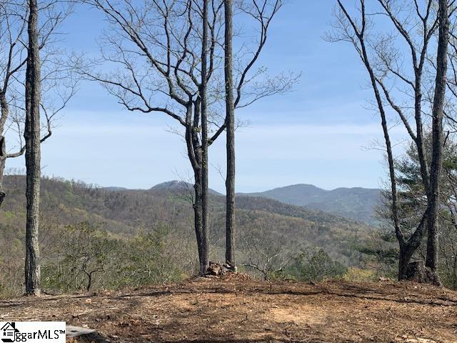 Property image 4 at 220 Wood Violet Trail, Marietta, SC 29661