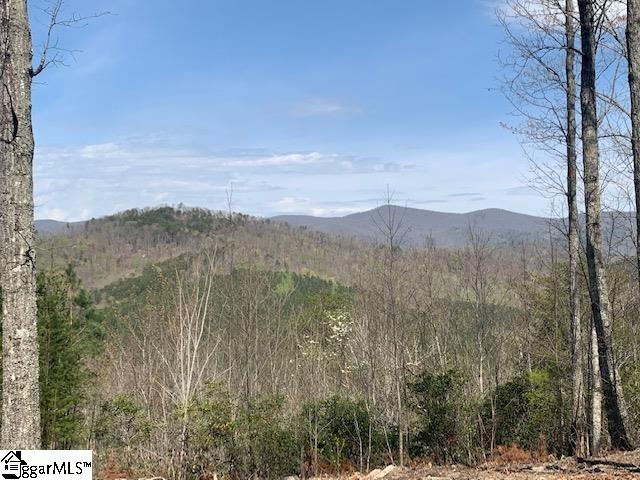 Property image 5 at 220 Wood Violet Trail, Marietta, SC 29661