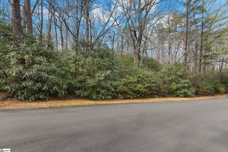 Property image 4 of 00 Conifer Falls Road in Cliff Ridge at Caesars Head, Cleveland, SC 29635