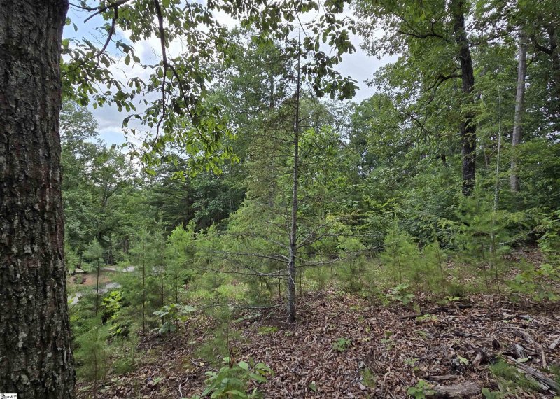 Property image 3 of 219 Luberon Lane in Crescent Mountain Vineyard, Travelers Rest, SC 29690