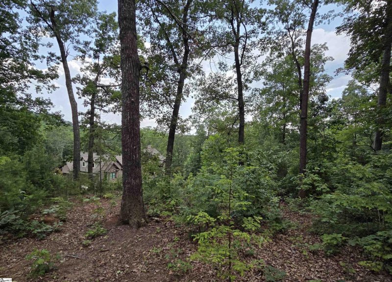 Property image 5 of 219 Luberon Lane in Crescent Mountain Vineyard, Travelers Rest, SC 29690