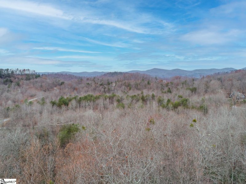 Property image 3 at 125 Grey Widgeon Trail, Marietta, SC 29661