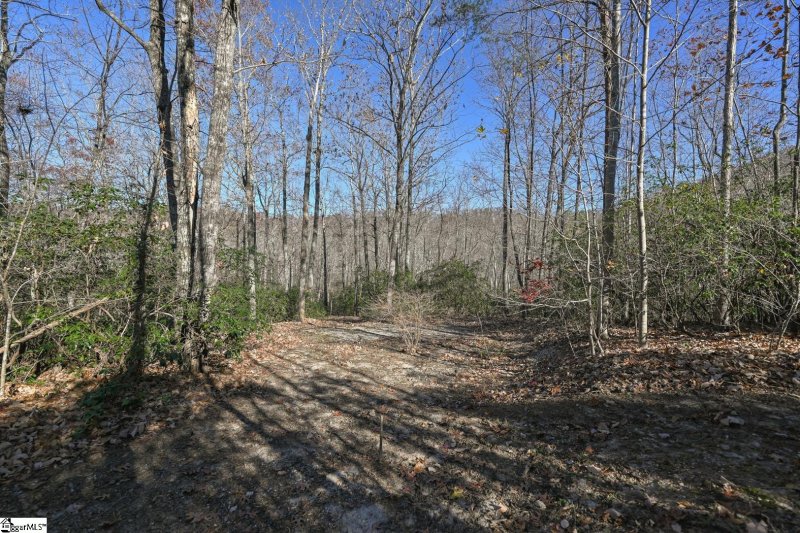 Property image 4 at 125 Grey Widgeon Trail, Marietta, SC 29661