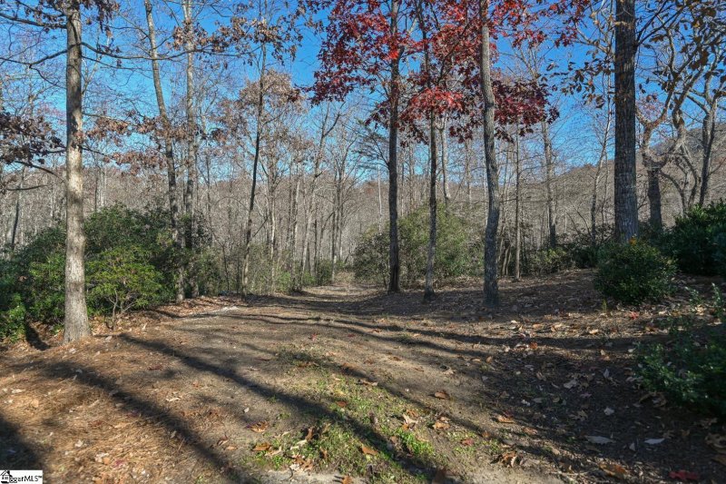 Property image 5 at 125 Grey Widgeon Trail, Marietta, SC 29661