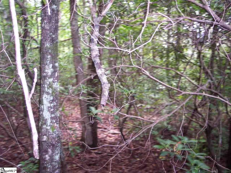 Property image 3 of 343 Gauley Falls Road in Gauley Falls, Pickens, SC 29671