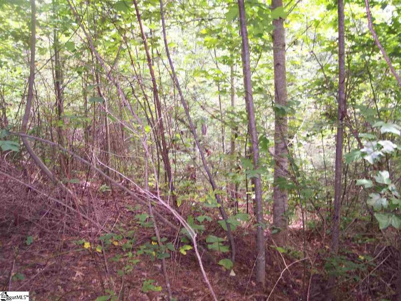 Property image 4 of 343 Gauley Falls Road in Gauley Falls, Pickens, SC 29671