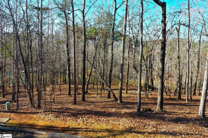 Property image 2 at 49 Sandyhook Court, Salem, SC 29676