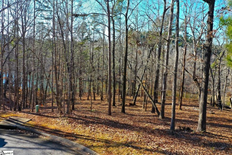 Property image 3 at 49 Sandyhook Court, Salem, SC 29676