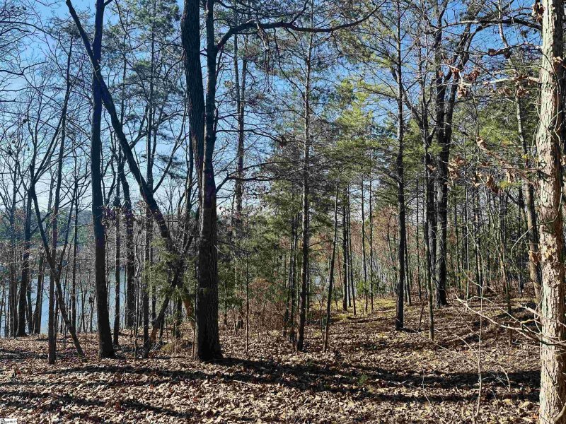 Property image 5 at 104 Charter Oak Drive, Anderson, SC 29625