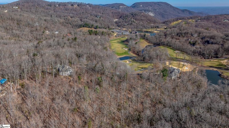 Property image 5 at 100 Park Green Way, Landrum, SC 29356