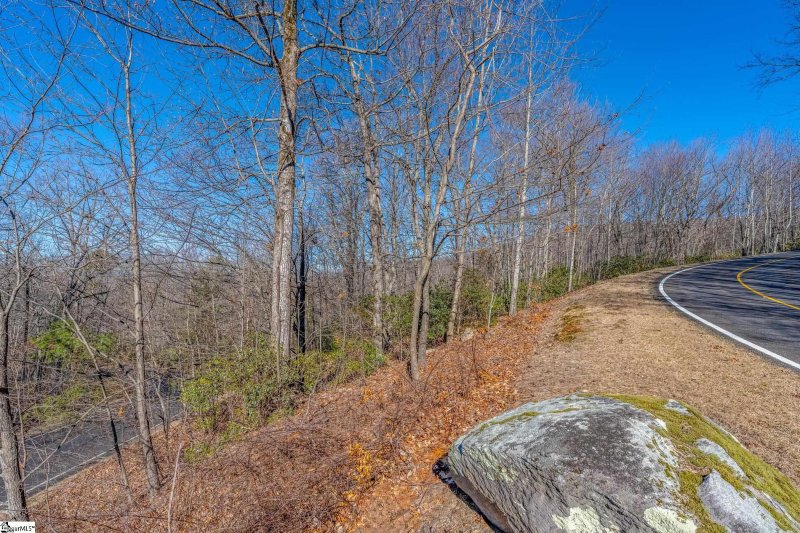 Property image 2 at 00 Stony Road, Landrum, SC 29356-3329