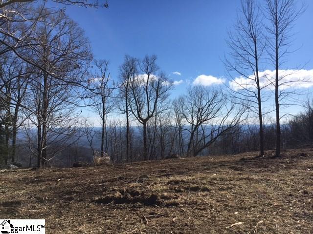 Property image 3 at 97 The Cliffs Parkway, Landrum, SC 29356