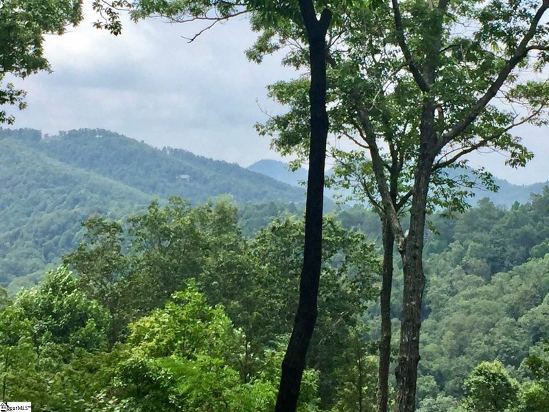 Property image 2 of 21 High Vista Way in Cliffs Valley, Travelers Rest, SC 29690