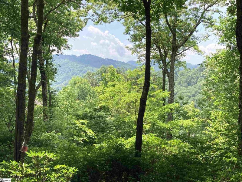 Property image 3 of 21 High Vista Way in Cliffs Valley, Travelers Rest, SC 29690