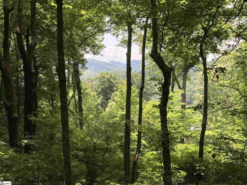 Property image 4 of 21 High Vista Way in Cliffs Valley, Travelers Rest, SC 29690